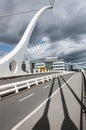 Bridges of Dublin