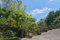 Bridges and flower trees in full bloom in Bangkok the Thai garden