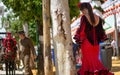 the Andalusian woman with the traditional flamenco dress at the Abril feria in Seville Royalty Free Stock Photo