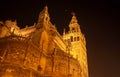 the lights of the night illuminate the splendid architecture of Seville Royalty Free Stock Photo