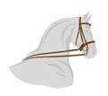 Bridle on horse