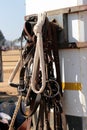 Bridles handing on a horse box