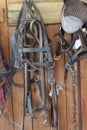 bridles for horses hanging in the barn-