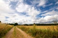 Bridleway through field Royalty Free Stock Photo