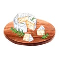 Brie, Camembert cheese and rosemary composition on wooden cutting board. Watercolor illustration isolated on white Royalty Free Stock Photo