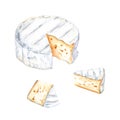 Brie, Camembert cheese set. Watercolor illustration isolated on white background Royalty Free Stock Photo