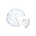 Brie, Camembert cheese. Watercolor illustration isolated on white background Royalty Free Stock Photo
