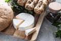 Brie cheese with fersh bread and green parsley on the grey backgrounnd Royalty Free Stock Photo