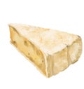 Brie Cheese wheel white mold creamy milky taste digital oil painting illustration
