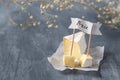 Brie cheese with white mold and banner with name on grey background. Copy space