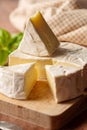 Close up Brie, soft cheese slices on cutting board. Copy space Royalty Free Stock Photo