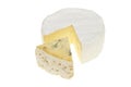 Brie and stilton Royalty Free Stock Photo