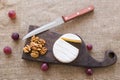 Brie type of cheese. Camembert cheese. Fresh Brie cheese on a wooden board with nuts and grapes. Italian, French cheese Royalty Free Stock Photo