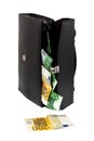 Briefcase with money Royalty Free Stock Photo