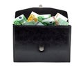 Briefcase with money Royalty Free Stock Photo