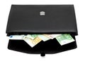 Briefcase with money Royalty Free Stock Photo