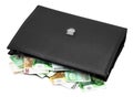 Briefcase with money Royalty Free Stock Photo