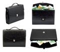Briefcase with money Royalty Free Stock Photo