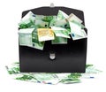 Briefcase with money Royalty Free Stock Photo