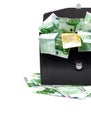 Briefcase with money Royalty Free Stock Photo