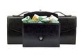 Briefcase with money Royalty Free Stock Photo