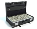 Briefcase of Money