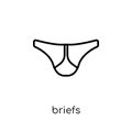 briefs icon from Briefs collection.