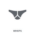 briefs icon from Briefs collection.