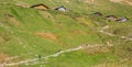 Brienz-Rothorn, Switzerland - Hikers II