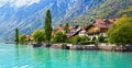 Brienz Village