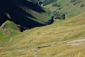 Brienzer Rothorn bahn amoung green field and the mountain on the way up to Brienzer Rothorn Royalty Free Stock Photo