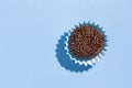 Brigadeiro is a chocolate truffle from Brazil. Cocoa and sprinkles of chocolate. Children birthday party sweet. Top view of candy