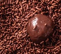 Brigadeiro - Chocolate truffle.