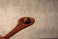 Brigadeiro in wooden spoon on gray background Royalty Free Stock Photo