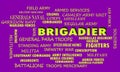 Brigadier terminology on text cloud official abstract