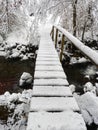 Brigde in the forest with snow