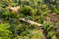 Brigde in Horton plains