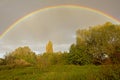 Brigh colorful rainbow on a grey sky over marshalnd landscape with trees