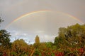 Brigh colorful rainbow on a grey sky over over trees and shrubs Royalty Free Stock Photo