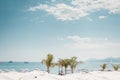 Brigh day on a beach in Cannes, french riviera