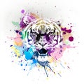 Bright abstract colorful background with tiger, paint splashes art design