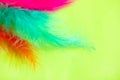 Bright abstract colorful feather background, carnival conceptm space for text Royalty Free Stock Photo
