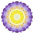 Bright abstract pattern, mandala.