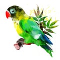 Bright African parrot on a branch