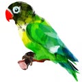 Bright African parrot on a branch