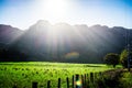 Bright afternoon sun shines over majestic ridge of Te Mata above lush green of the valley. Breathtaking veiw of Hawkes Royalty Free Stock Photo