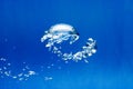 bright Air bubbles, blue background Royalty Free Stock Photo