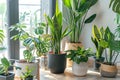 Bright, airy room filled with a diverse collection of houseplants, creating a lush indoor garden oasis