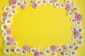 Arrangement of daisy flowers and pink flowers around the edges on a yellow background with a central space for design. Top view