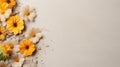 Minimalistic Composition Of Yellow Flowers On Dust